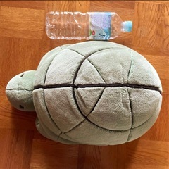 ブルーナ カメ 特大の画像