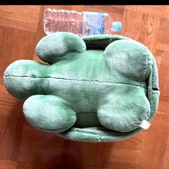 ブルーナ カメ 特大の画像