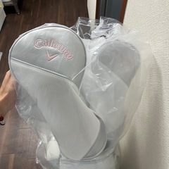 ゴルフ⛳️の画像