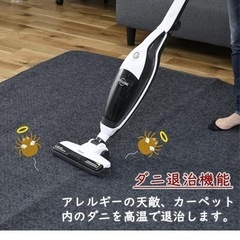 ホットカーペットの画像