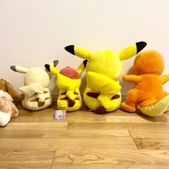 【美品】　ポケモン　ぬいぐるみ5体セット（ピカチュウ・メタモンピカチュウ・ヒトカゲ・イーブイ）大きめサイズの画像