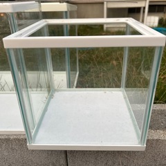 水槽3個の画像