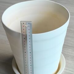 植木鉢（受け皿セット）の画像