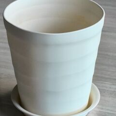 植木鉢（受け皿セット）の画像