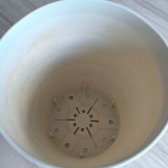 植木鉢（受け皿セット）の画像