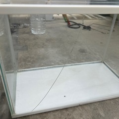水槽の画像