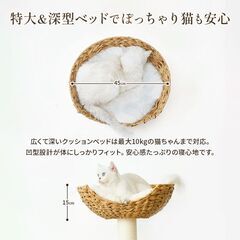 【新品】天然無垢材使用のキャットタワーの画像