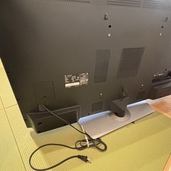 お譲り先決定致しましたの画像