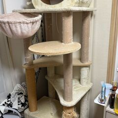 キャットタワー Mauの画像