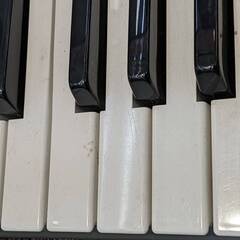 CASIO CTK-496 ベーシックキーボード 本体+ACアダプター 音楽 楽器 の画像