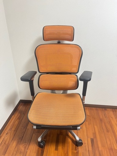 エルゴヒューマン