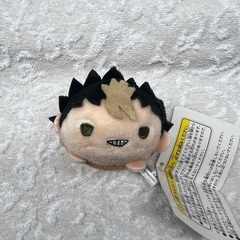 ハイキューの画像