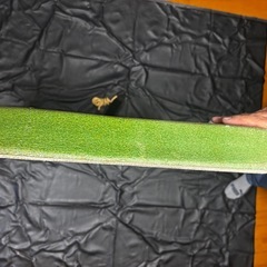 MOREYBOOGIEボディボードの画像