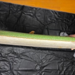 MOREYBOOGIEボディボードの画像