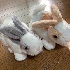 うさぎ　ぬいぐるみ6体の画像