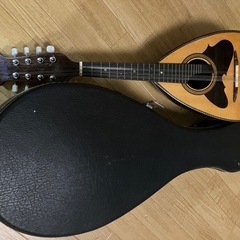 【お話し中】マンドリン 弦2本足りませんが使えますの画像