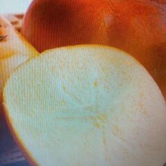 8ー富有柿差し上げます　の画像