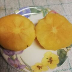 8ー富有柿差し上げます　の画像