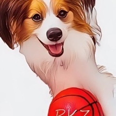 ゆる🏀11/12(水)東戸塚、11/19(水)根岸　年齢・…