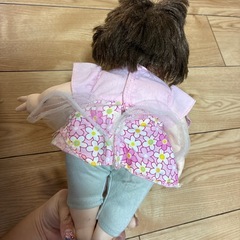 ぽぽちゃんの画像