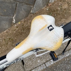 ルイガノ マウンテンバイク MTB XC BART 自転車の画像