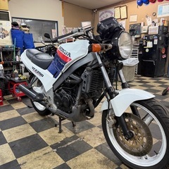 分割OK！VTZ250の画像