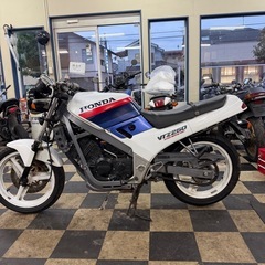 分割OK！VTZ250の画像