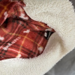 レディース ディズニー 着る毛布  ワンピースの画像