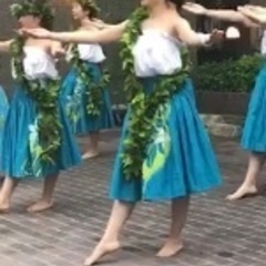 【京都右京区西京極、滋賀大津膳所石場】フラダンス初心者、経験者募集！の画像