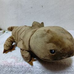 ヤモリ＆トカゲ？　ペンケース＆ぬいぐるみセットの画像