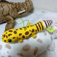 ヤモリ＆トカゲ？　ペンケース＆ぬいぐるみセットの画像