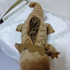 ヤモリ＆トカゲ？　ペンケース＆ぬいぐるみセットの画像