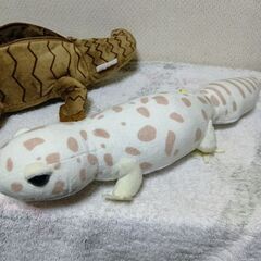 ヤモリ＆トカゲ？　ペンケース＆ぬいぐるみセットの画像