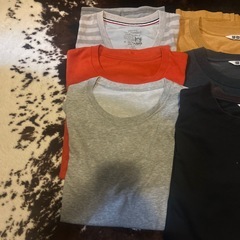 Tシャツ UNIQLOなど9枚 の画像