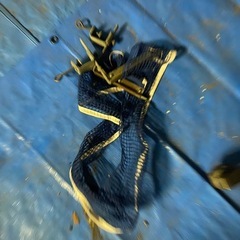 コクヨ　卓球台　老人ホームや会社などにの画像