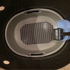 アイリスオーヤマ 上からネコトイレの画像