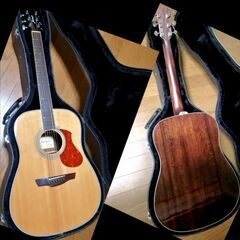 ★美品★エレアコ★James J-450D Ova NATの画像