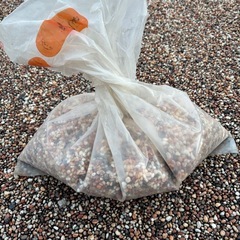 【余ったので！】玉砂利赤フリージア約5.2キロの画像