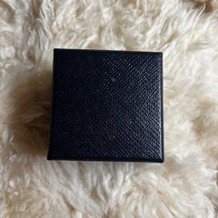 プラダ商品ケースの画像