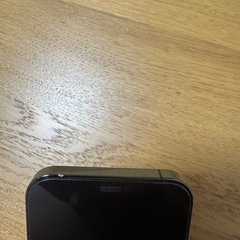 iPhone12Pro
の画像