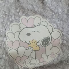 【未使用美品✨】こども用スヌーピー手袋🧤の画像