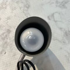 クリップスタンド  爬虫類ライト 【安心の3ヶ月保証】 店頭販売 南区花畑の画像