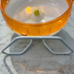 サイレントホイール 径21㎝ オレンジ 店頭販売 南区花畑の画像