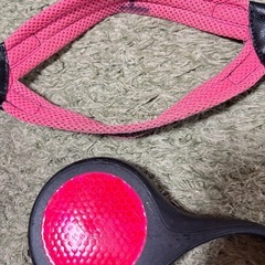 セット　トレポンティ　フレキシリード　ハーネスの画像