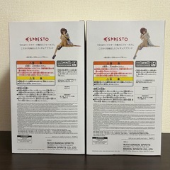 【新作セット】 アイドルマスターシャイニーカラーズ ESPRESTO 樋口円香　2個セットの画像