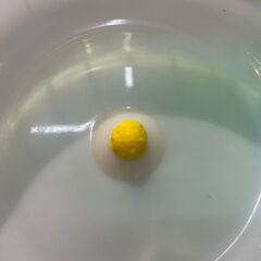 サイレントホイール 径17㎝ 緑 店頭販売 南区花畑の画像