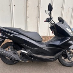 【動画あり】PCX125 JF56 ベアリング交換済みフルノーマル　インジェクションスクーターの画像