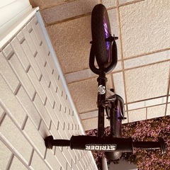 すとらいだーストライダーの画像