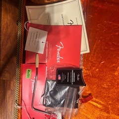 fender American professional Ⅱ 
ストラトの画像