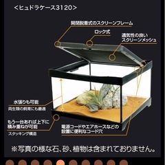 爬虫類 レプタイルボックスの画像